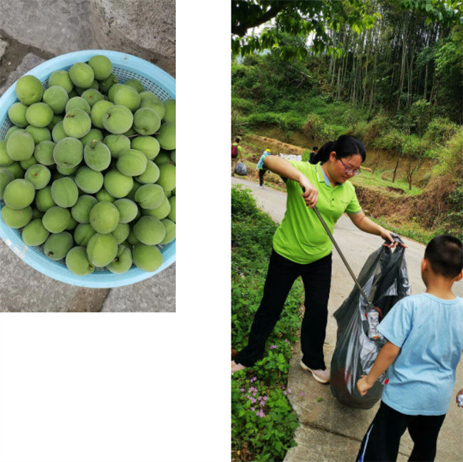 生命和綠色擁抱，人類(lèi)與生態(tài)共存——2023年廣東博皓公益活動(dòng)   -1