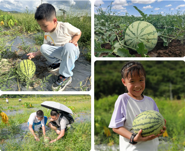 趣游盛夏，一路童行—2024年廣東博皓親子游   -12